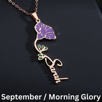 September/Morning Glory